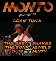Adam Tunji- live african music london